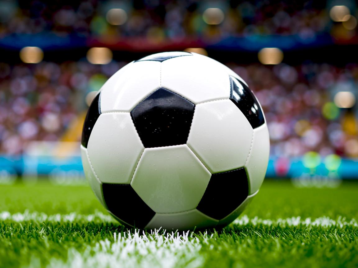 九游娱乐网站-“六人制袋棍球：观众现场感受速度与力量的完美融合”  第3张