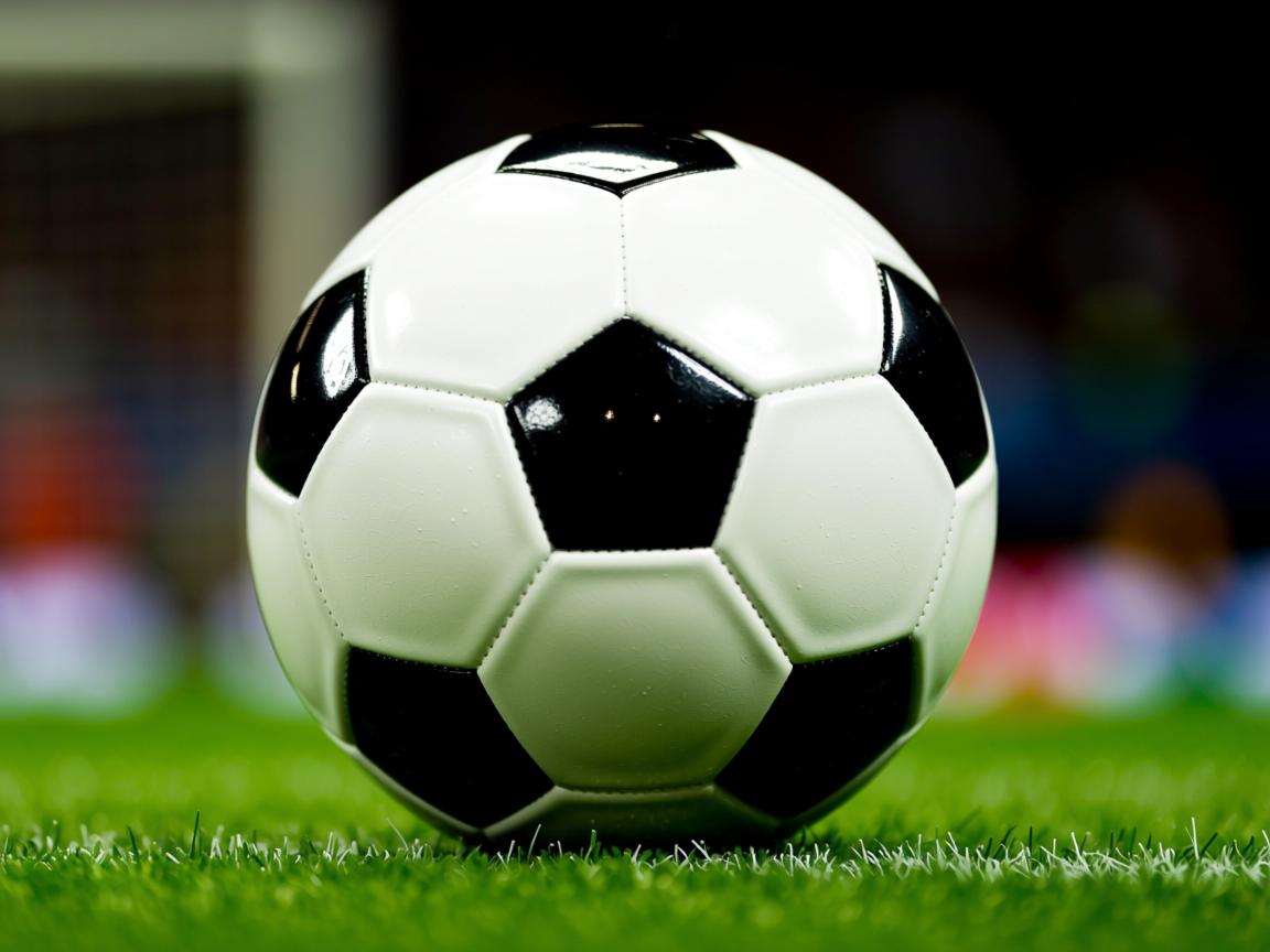 九游官网入口-体育新闻中心协同地方媒体开发体育文化专题报道,体育新闻通讯 第2张