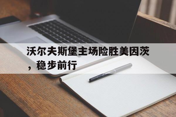 九游娱乐入口-沃尔夫斯堡主场险胜美因茨，稳步前行的简单介绍