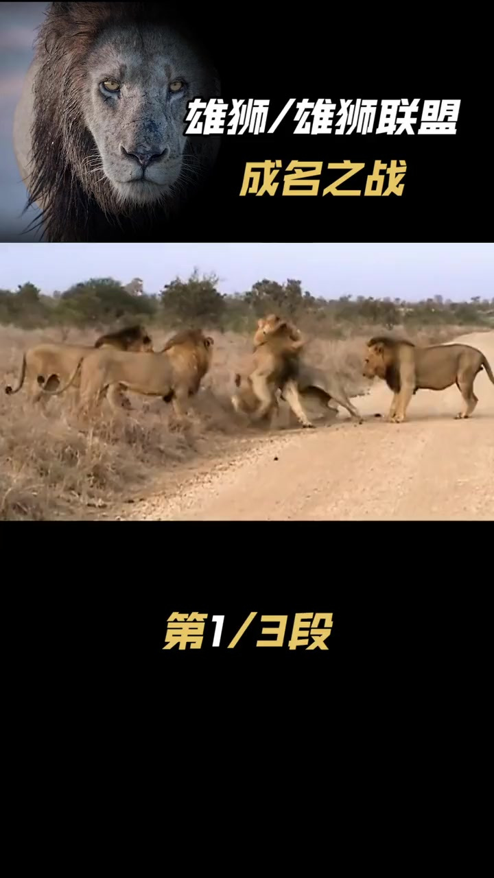九游官网入口活动-法国军团雄狮咆哮，一战击败德国，实力无敌
